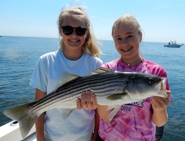 Megan's 1st live lined striper!